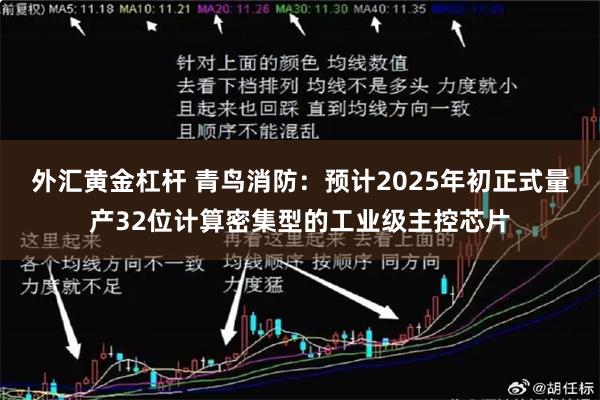 外汇黄金杠杆 青鸟消防：预计2025年初正式量产32位计算密集型的工业级主控芯片