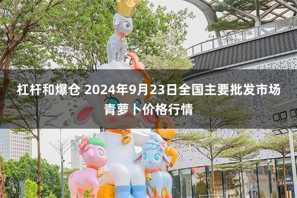 杠杆和爆仓 2024年9月23日全国主要批发市场青萝卜价格行情