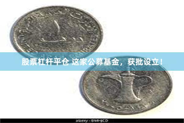 股票杠杆平仓 这家公募基金，获批设立！