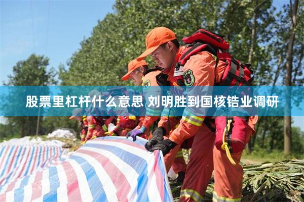 股票里杠杆什么意思 刘明胜到国核锆业调研