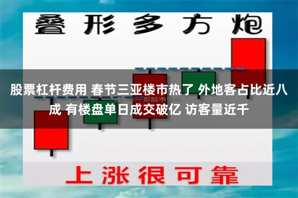 股票杠杆费用 春节三亚楼市热了 外地客占比近八成 有楼盘单日成交破亿 访客量近千